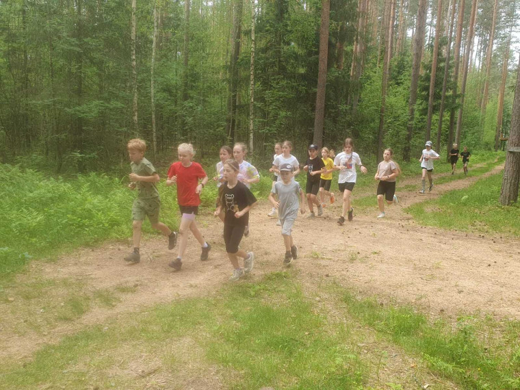 Вести из спортотряда.